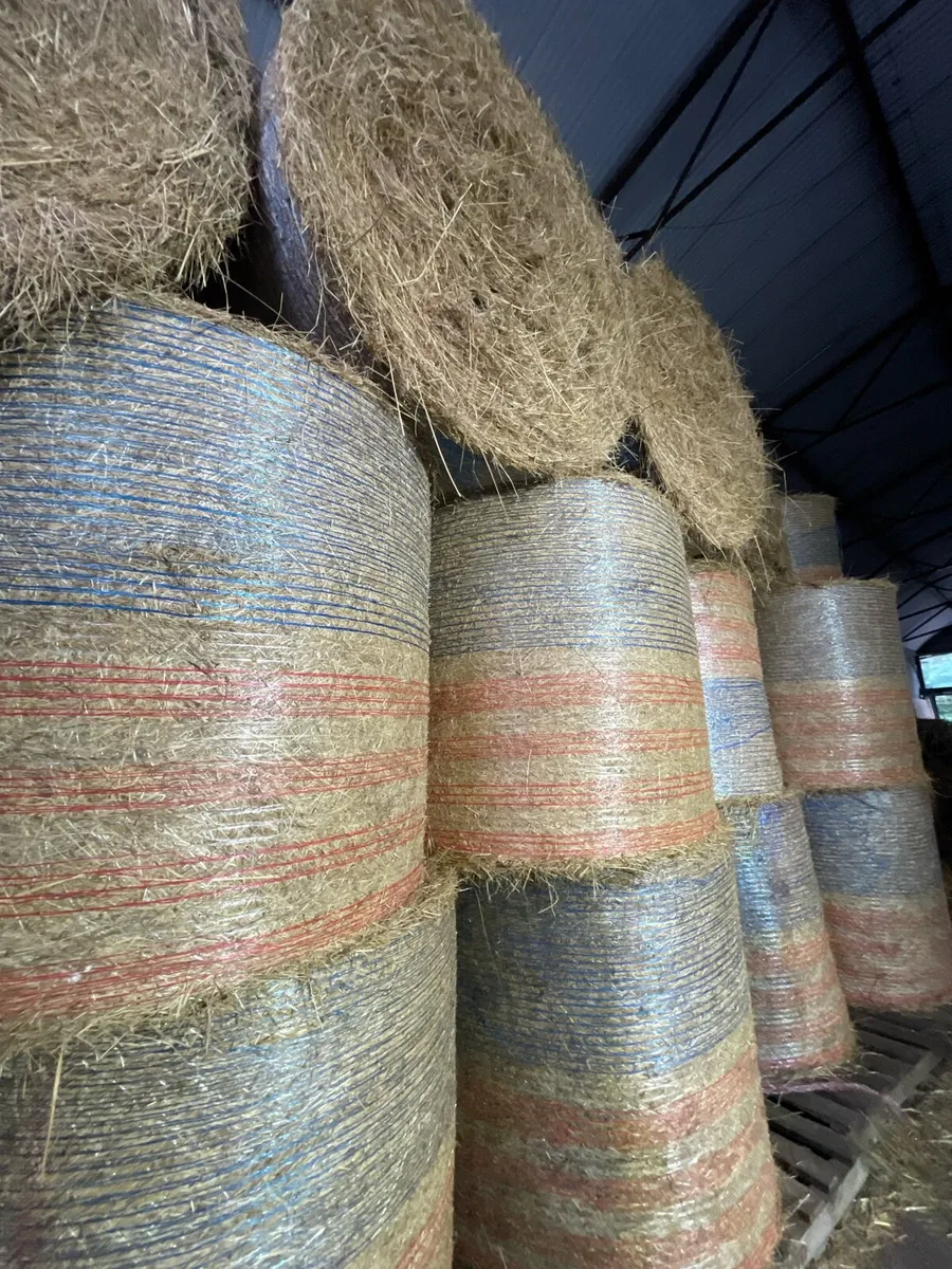 Hay bales - Image 3
