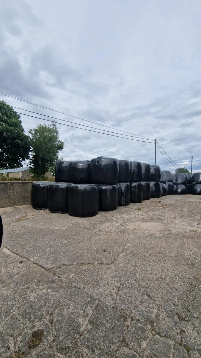 Organic Haylage