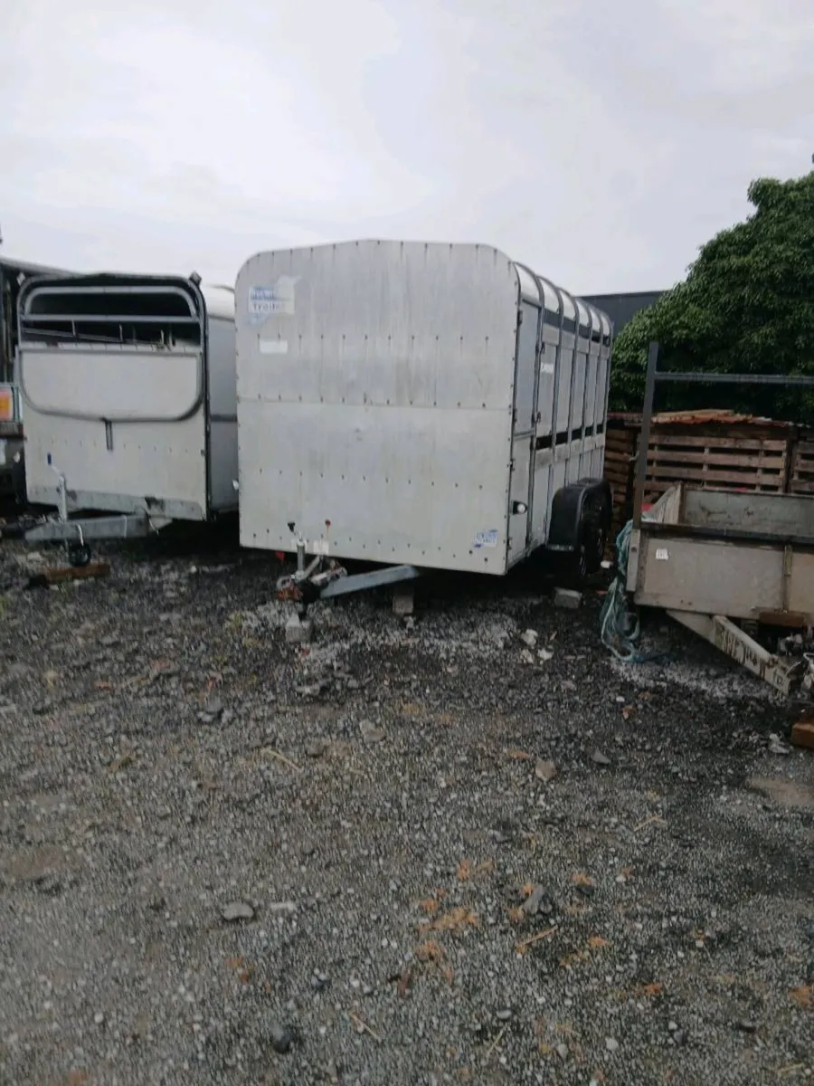 Iforwilams 12by6 cattle trailerCALL 0868782672 - Image 3