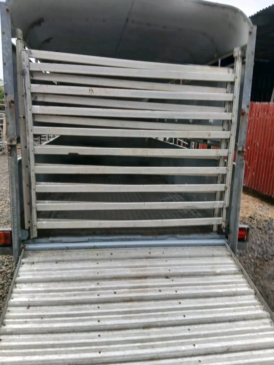 Iforwilams 12by6 cattle trailerCALL 0868782672 - Image 4