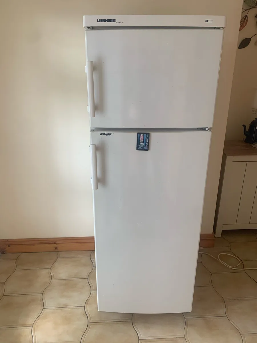 Fridge Freezer - Image 1