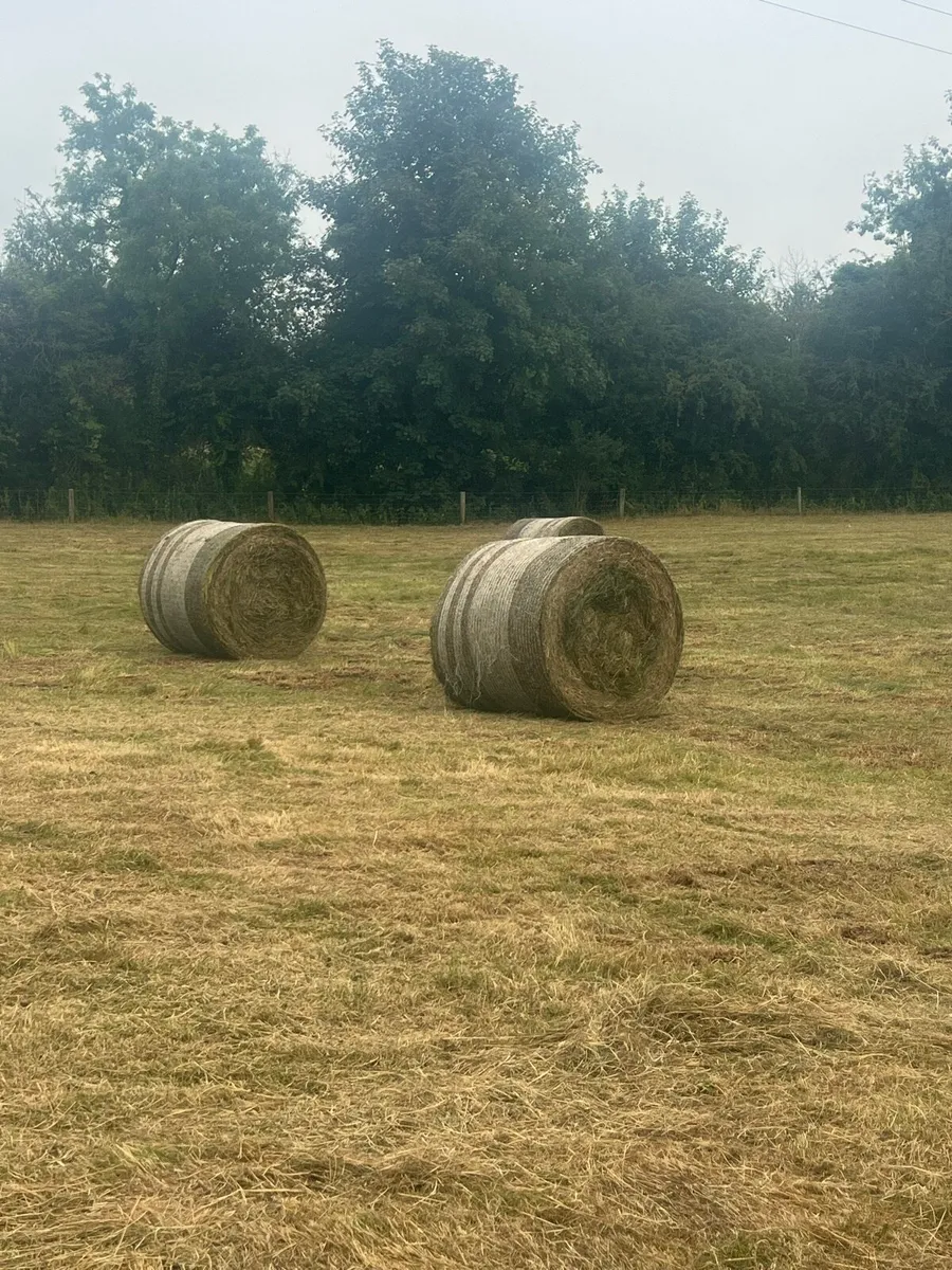 Bales - Image 1