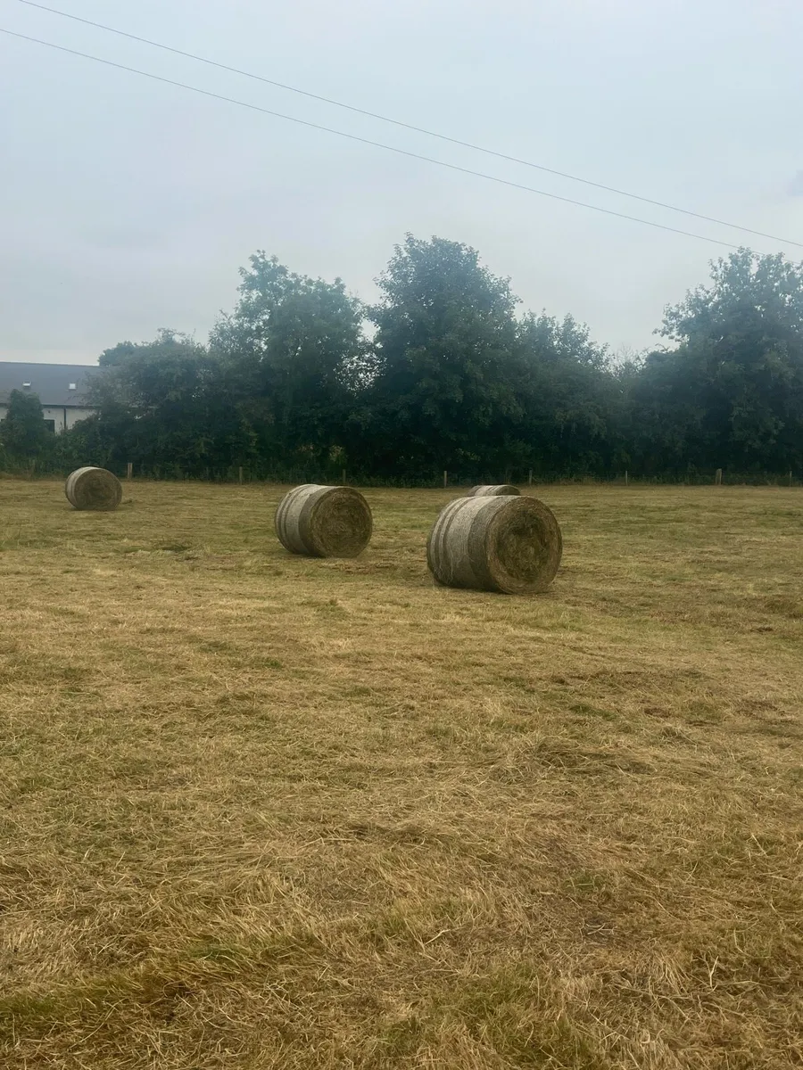 Bales - Image 2