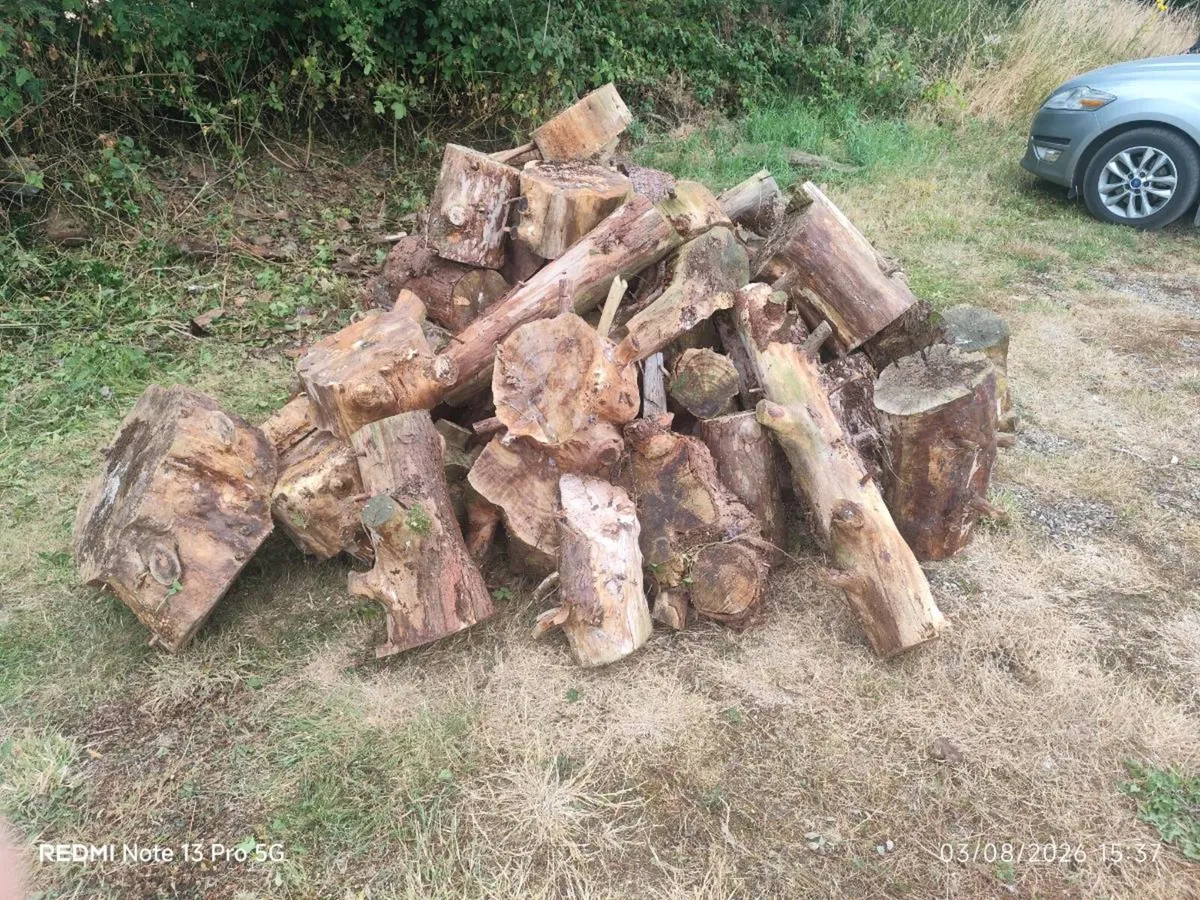 Seasoned / Dried Firewood Logs. €100 or best offer - Image 2