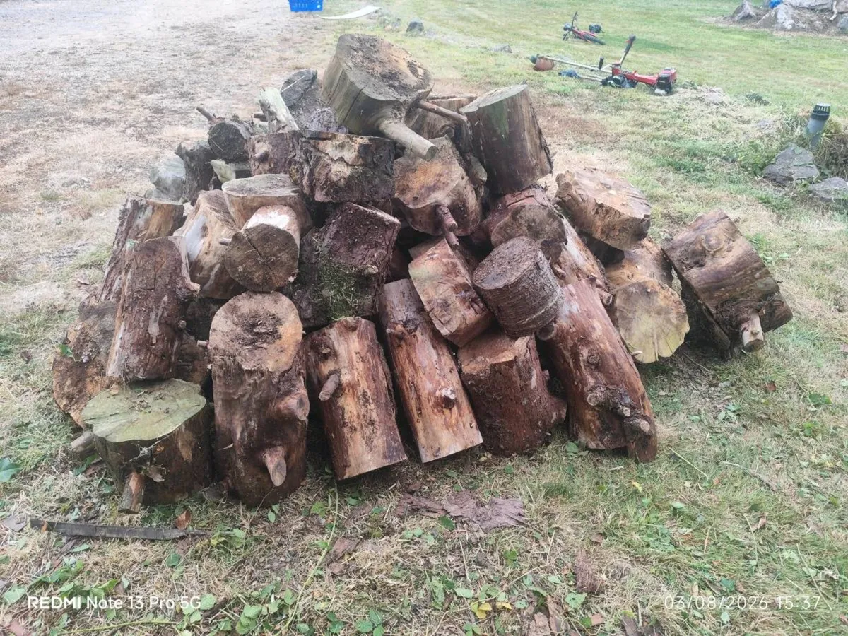 Seasoned / Dried Firewood Logs. €100 or best offer - Image 3