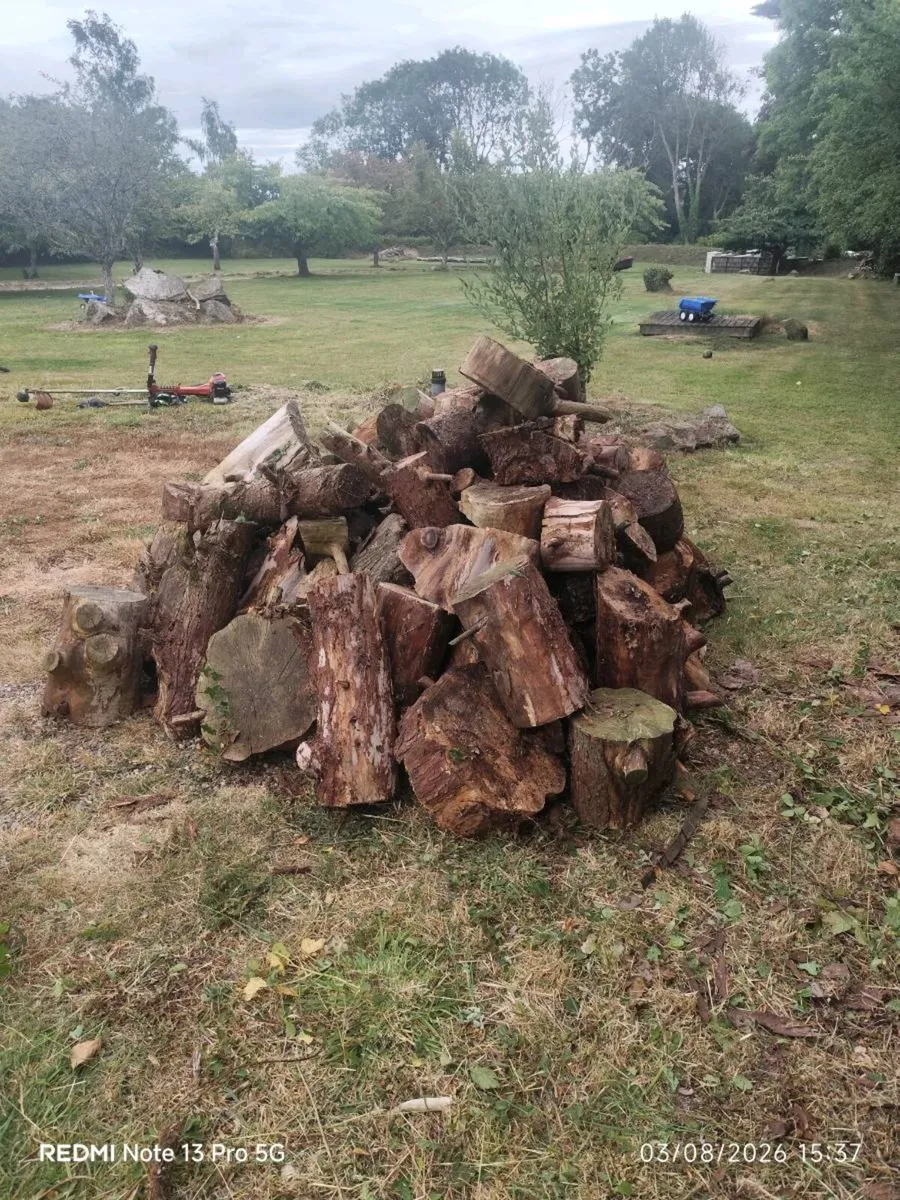 Seasoned / Dried Firewood Logs. €100 or best offer - Image 4