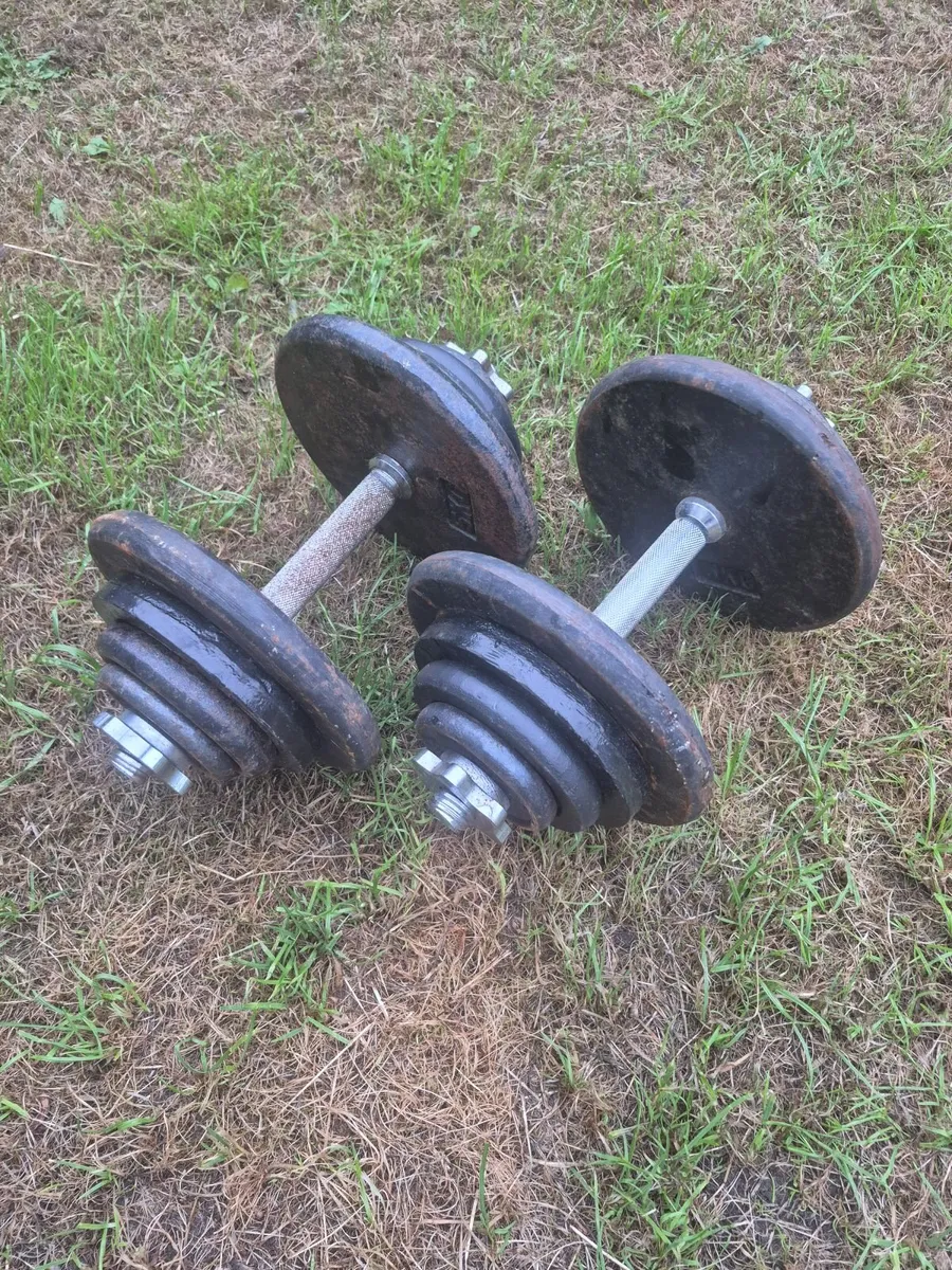 Dumbbells 2×20kg