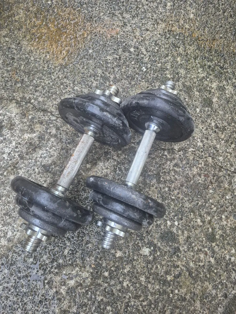 Dumbbells 2×10kg - Image 2