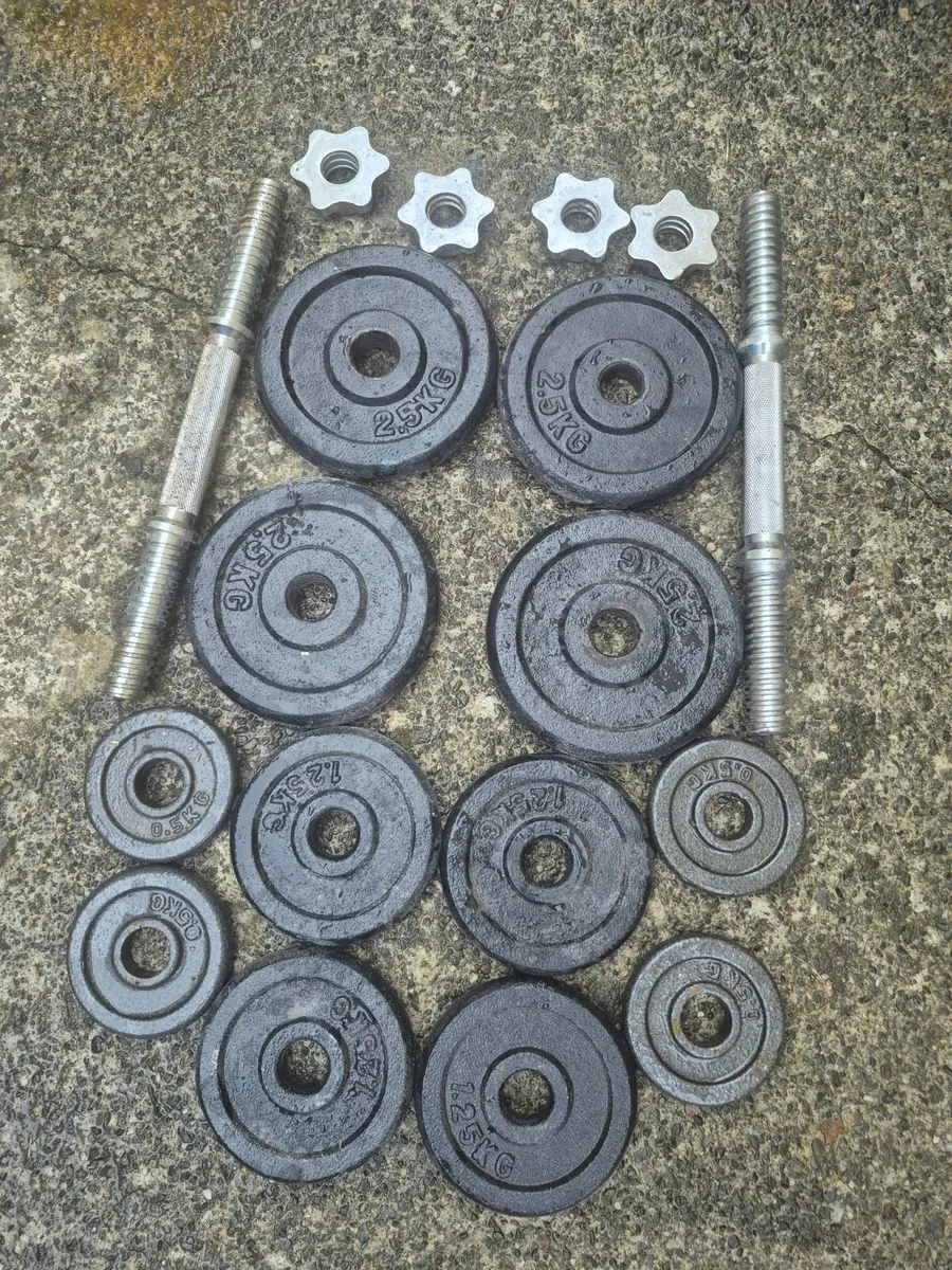 Dumbbells 2×10kg - Image 1