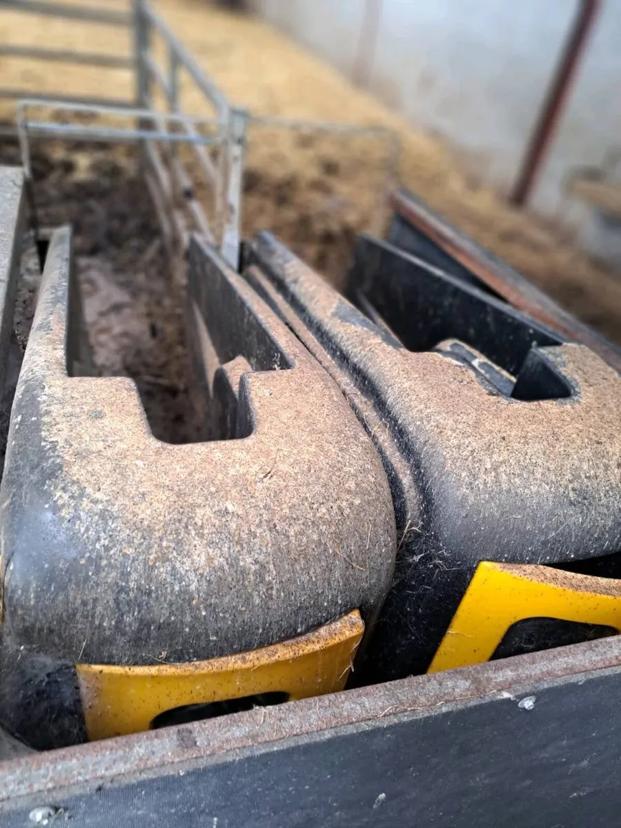 JFC CALF FEEDER - Image 2