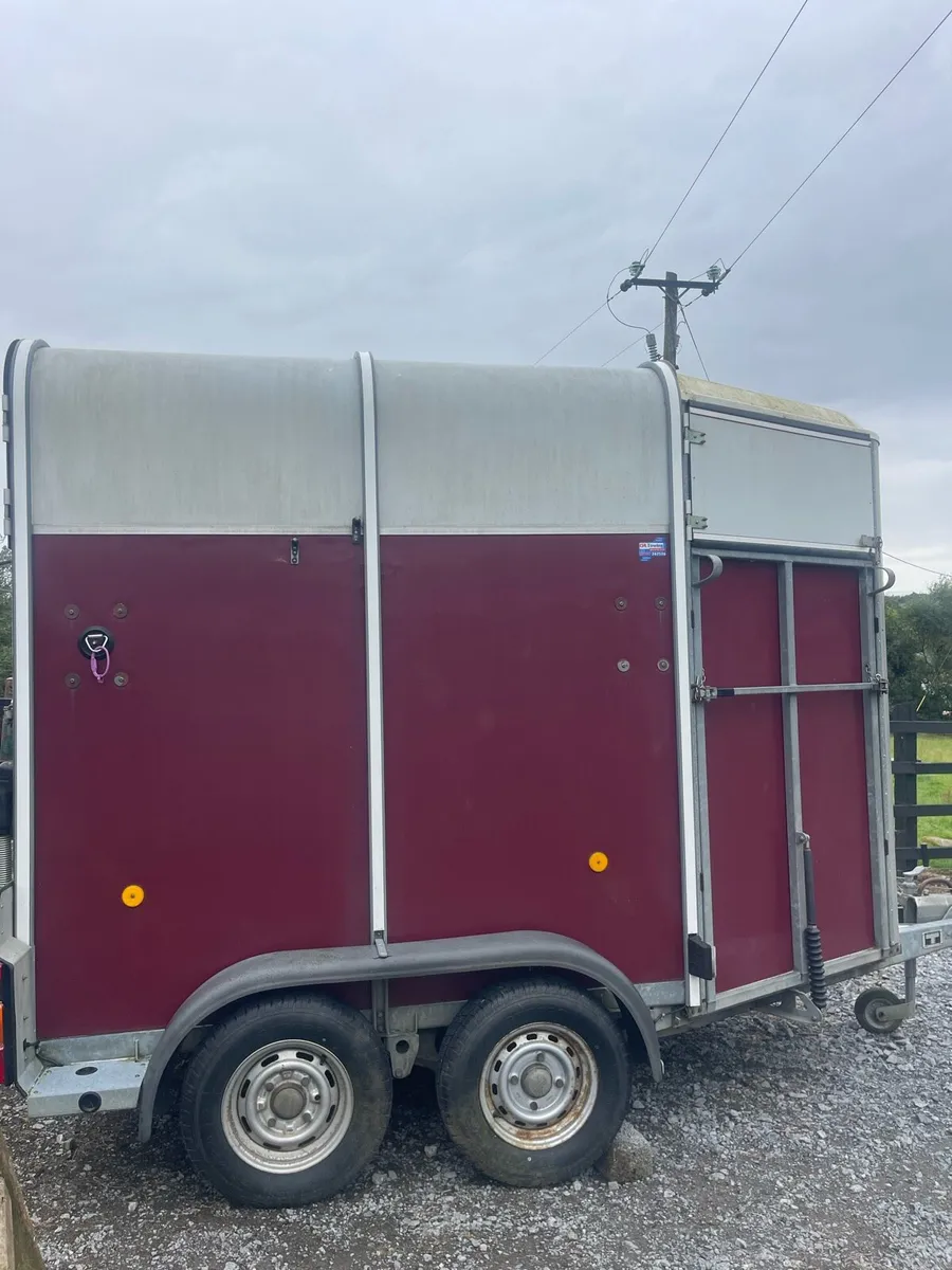 Iforwilliams 505 trailer - Image 1