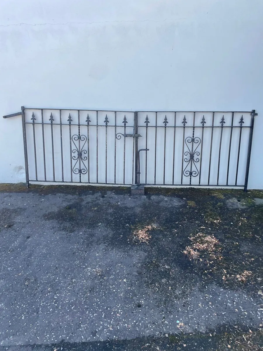Steel driveway gates - Image 1
