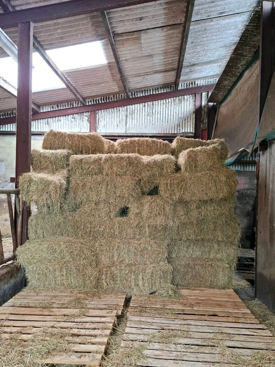 Hay square bales