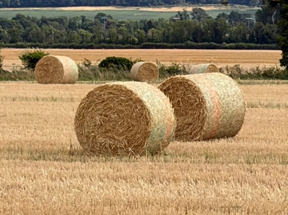 BARLEY STRAW    DELIVERED TO FARM - Image 1