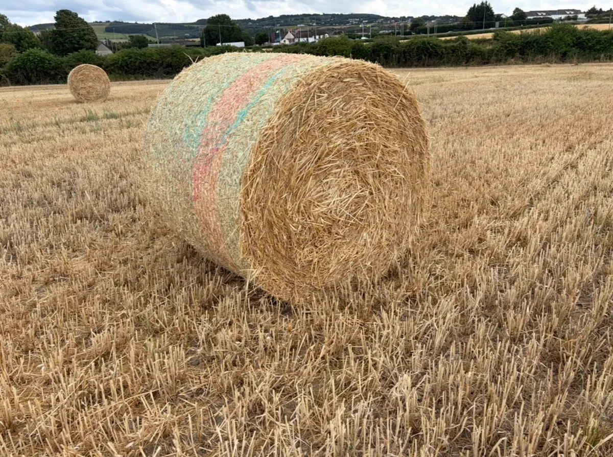BARLEY STRAW    DELIVERED TO FARM - Image 2