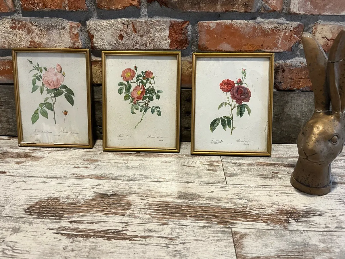 Vintage pictures - Image 1