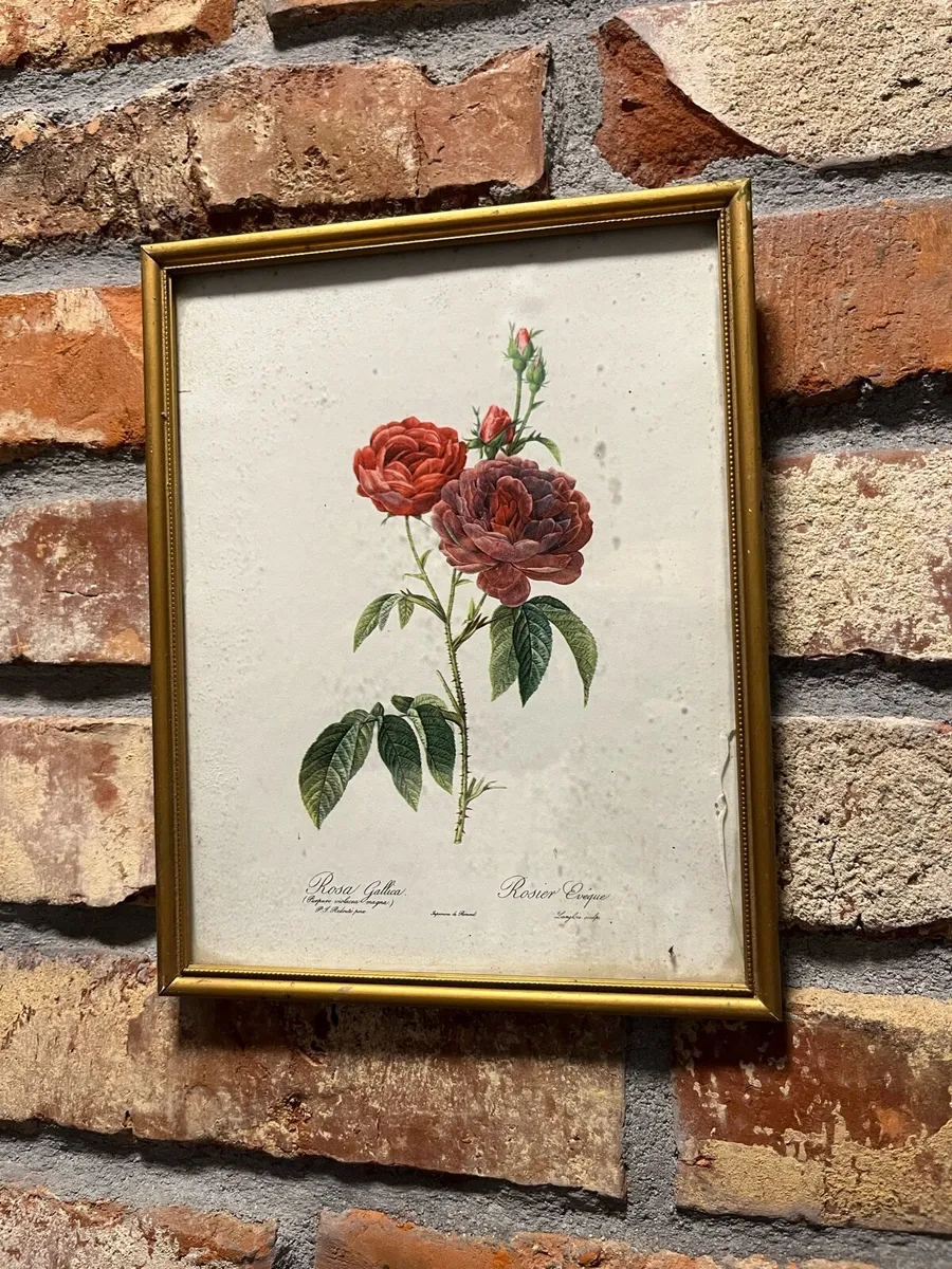 Vintage pictures - Image 2