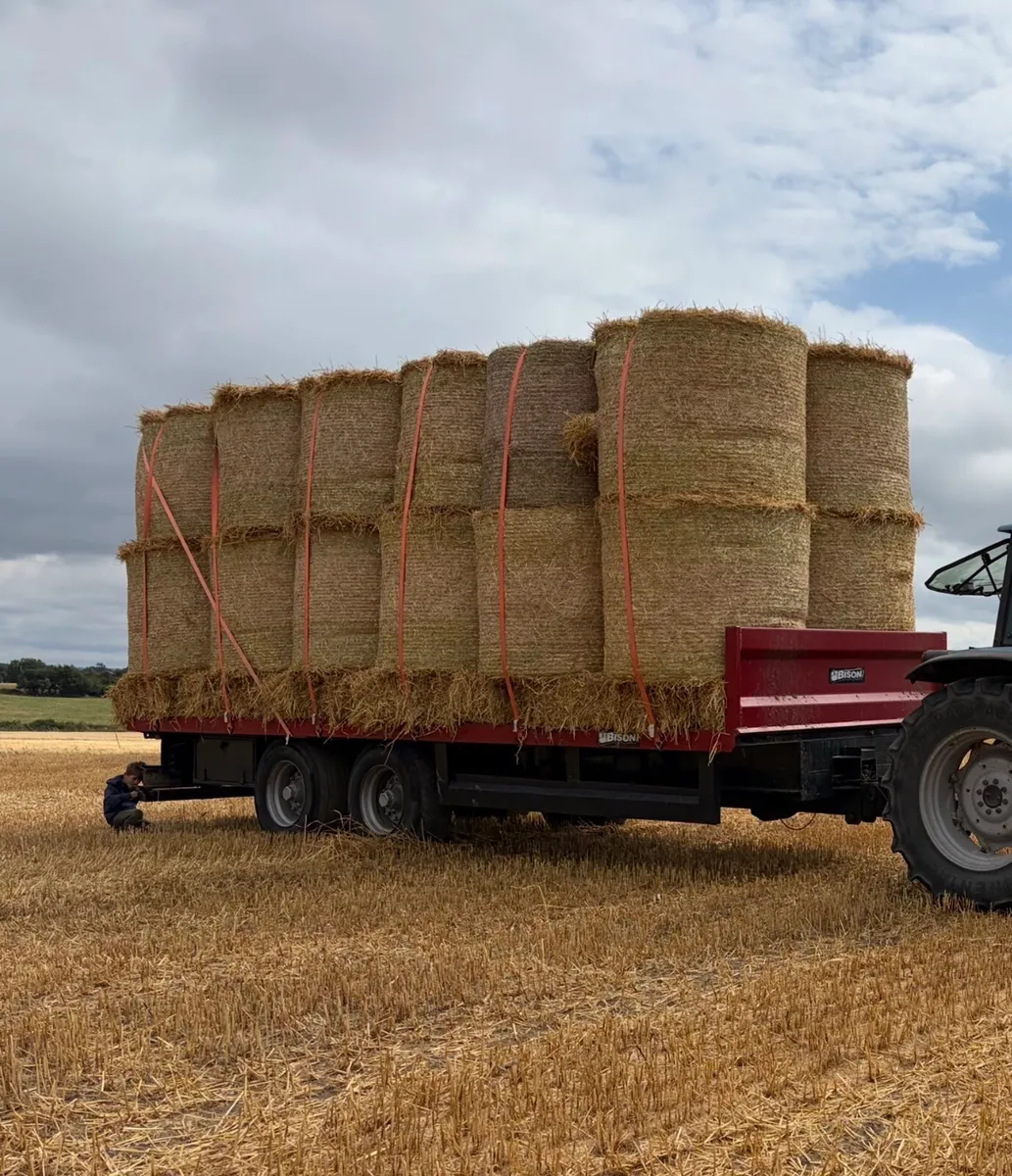BARLEY STRAW & HAY       Delivered to Farm - Image 2