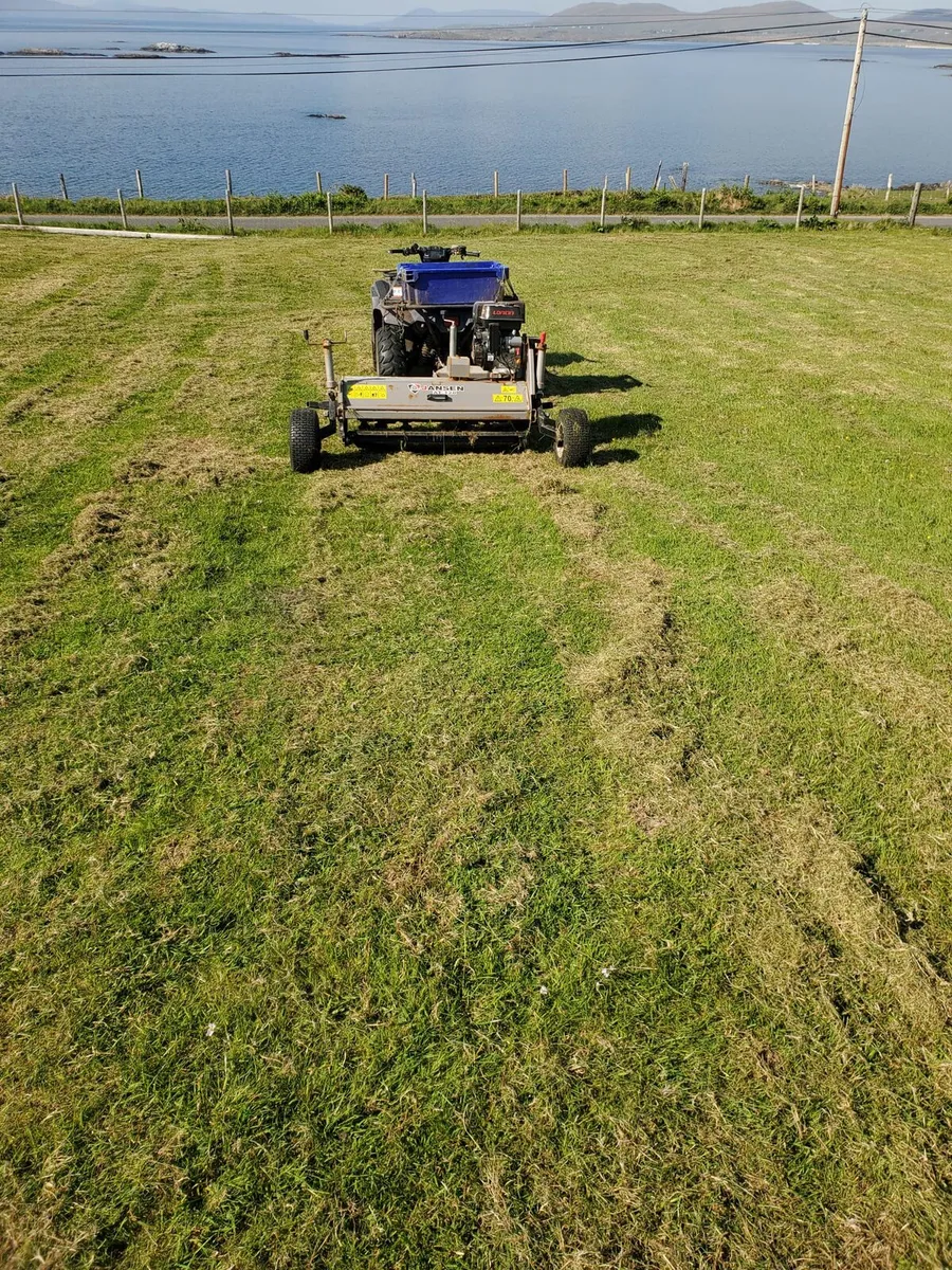 Flail mower - Image 1