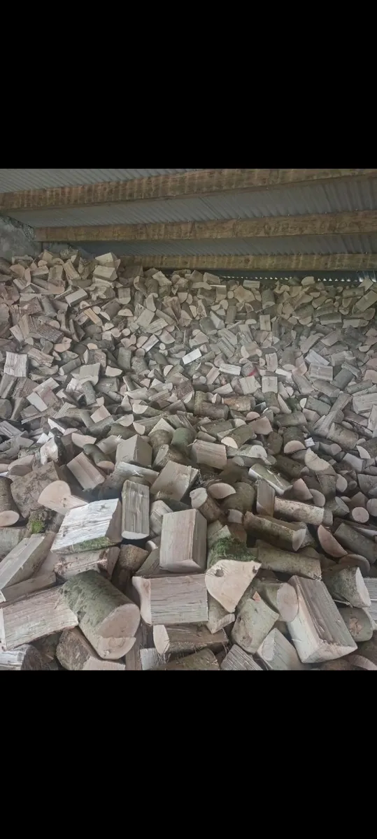 Hardwood firewood 🔥 - Image 2