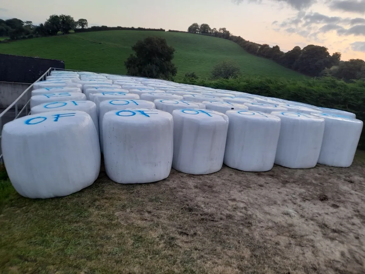 Round bales haylage - Image 1
