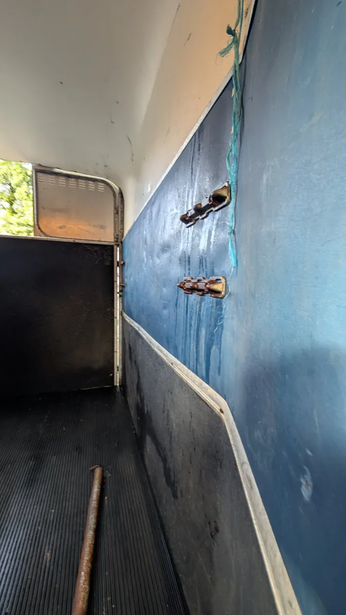 Ifor williams 505 Horsebox - Image 3