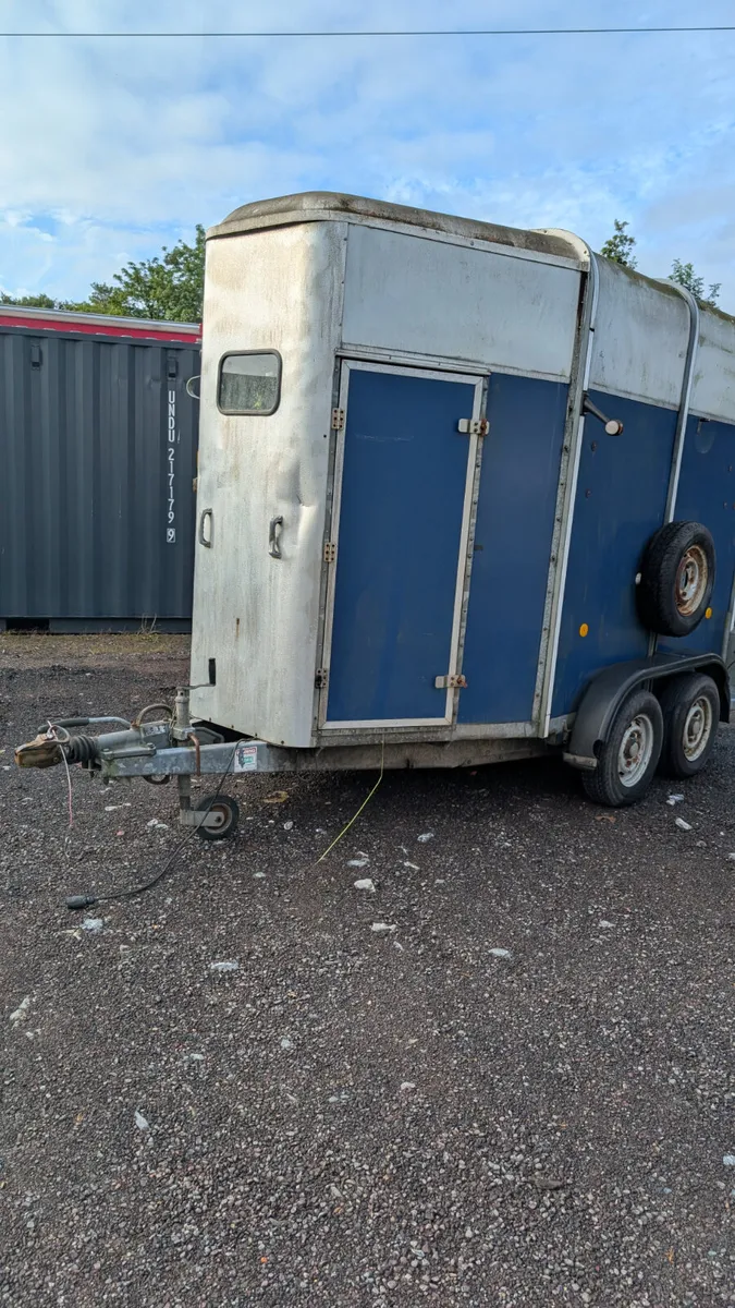 Ifor williams 505 Horsebox - Image 4