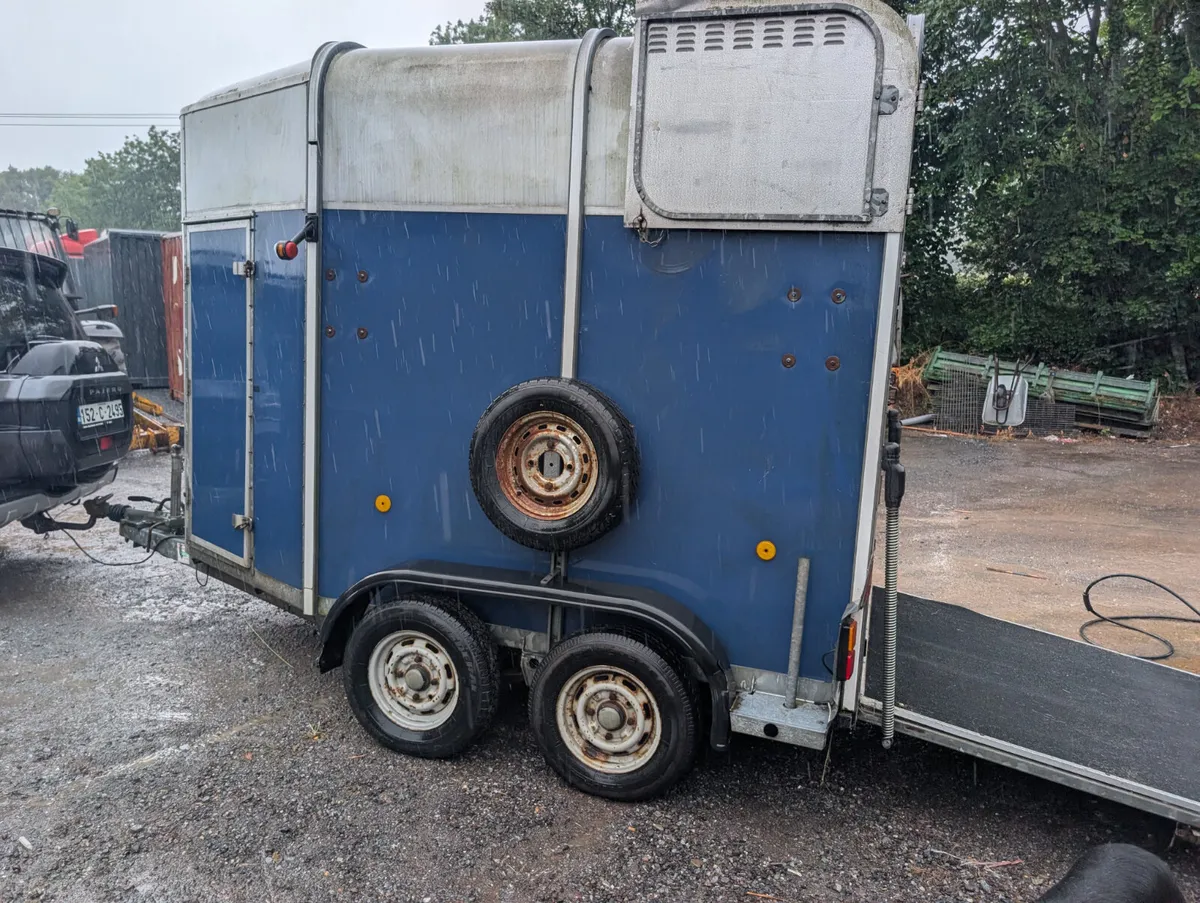 Ifor williams 505 Horsebox - Image 2