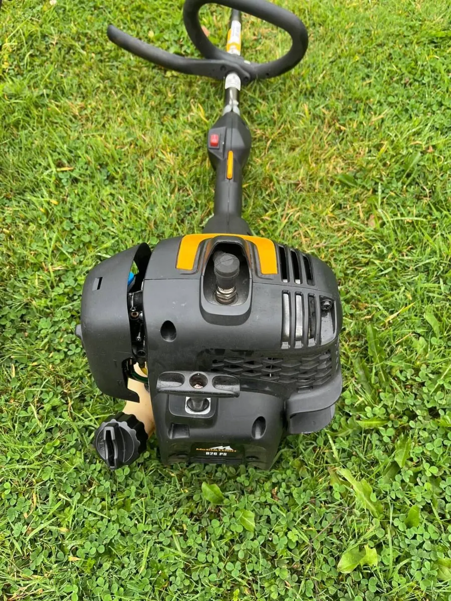 Strimmer - Image 2