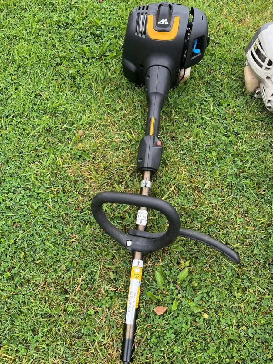 Strimmer - Image 3