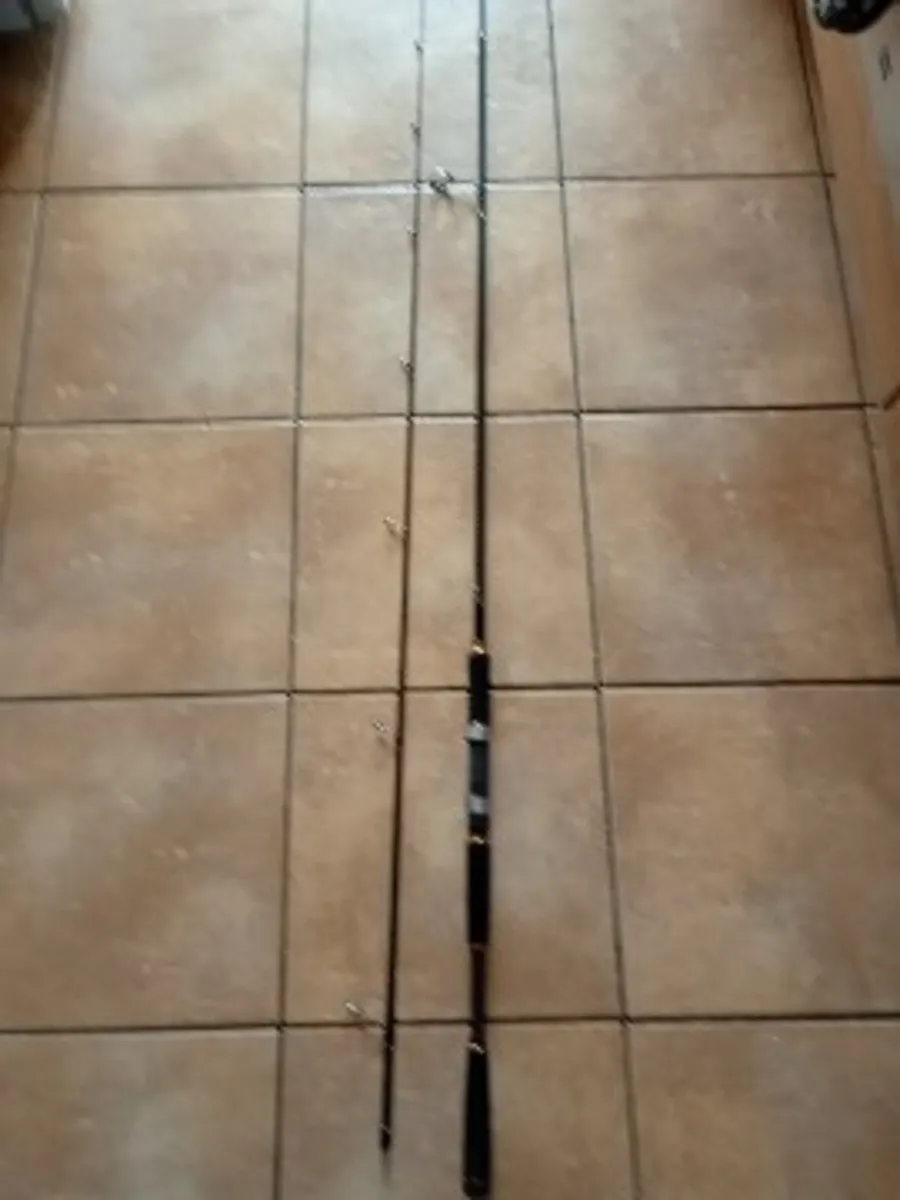 Diawa Legalis 2.9m 2 piece 14g to 42gram - Image 2