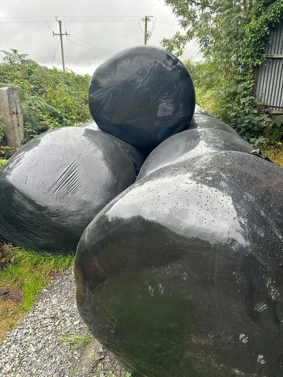 Silage bales