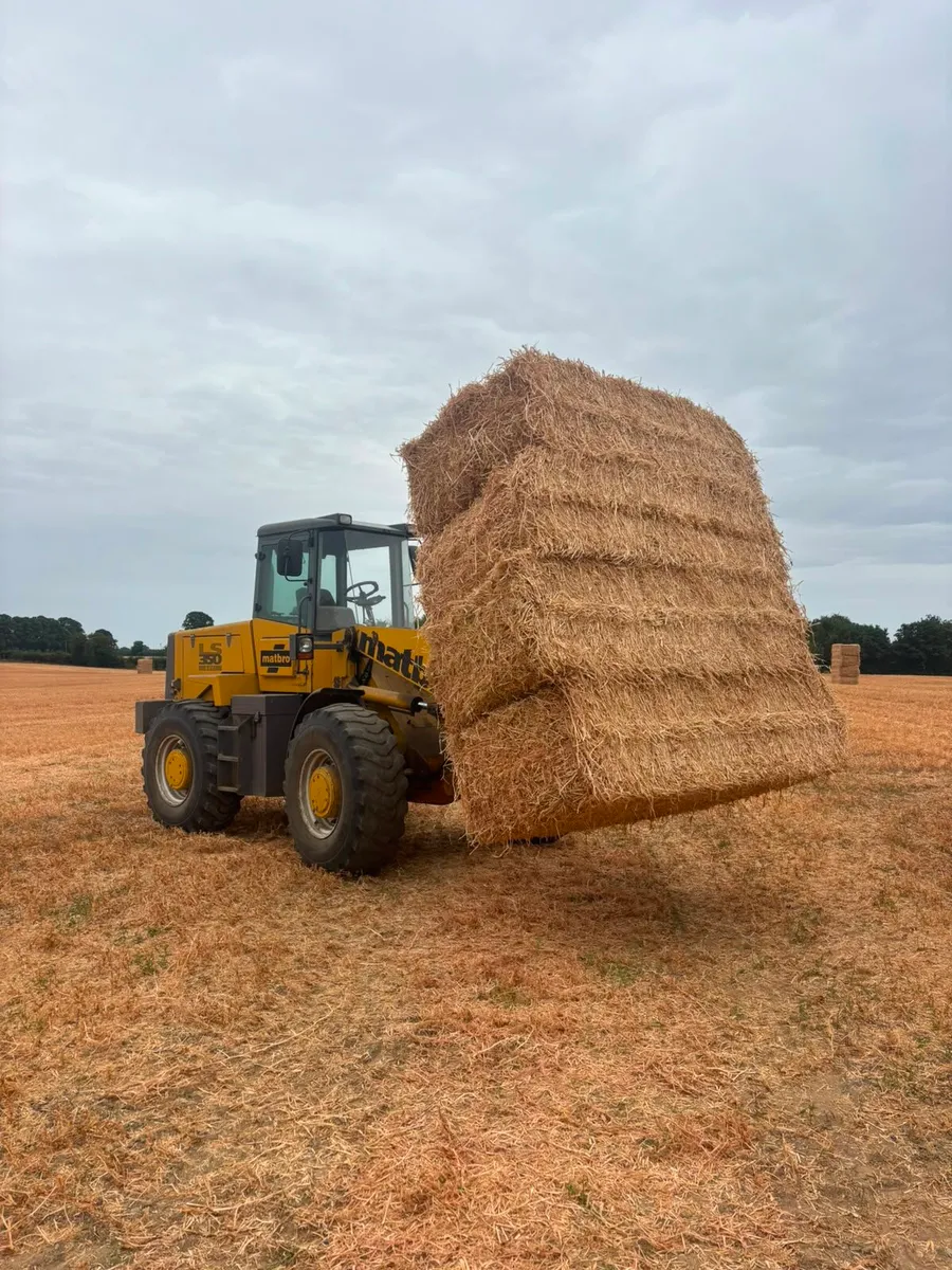 Pea Straw - Image 1