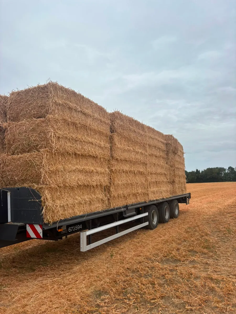 Pea Straw - Image 2