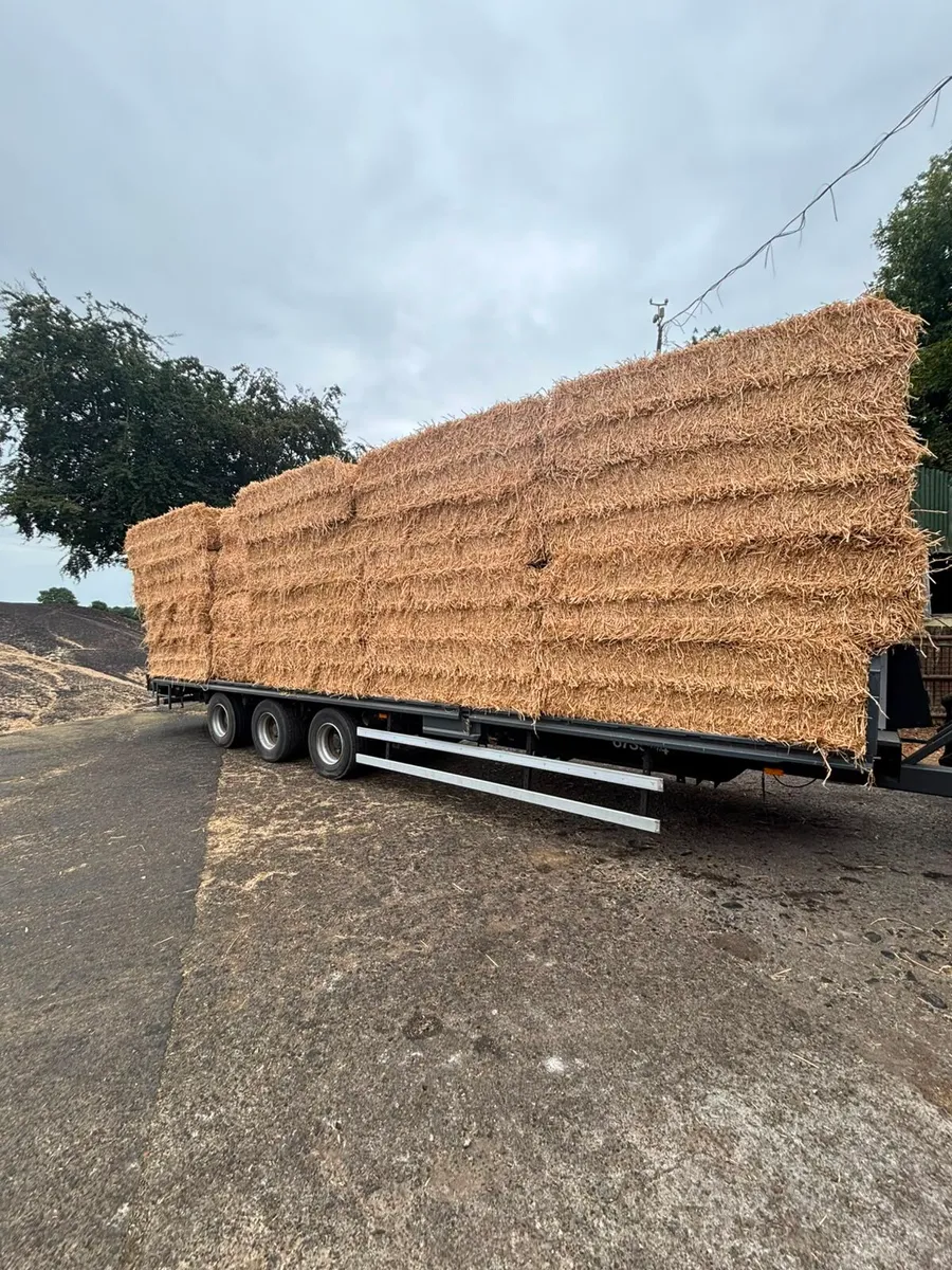 Pea Straw - Image 3