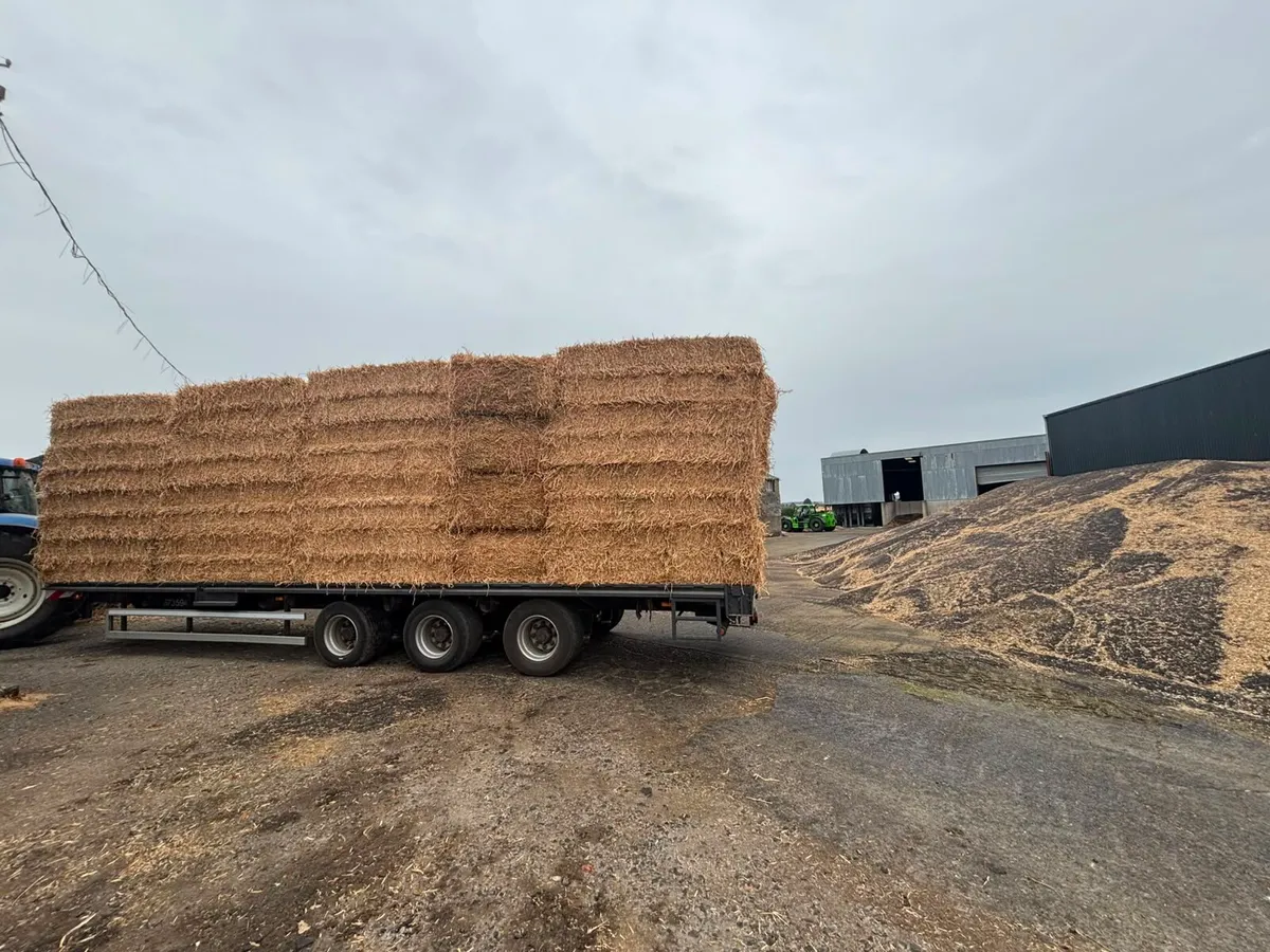 Pea Straw - Image 4