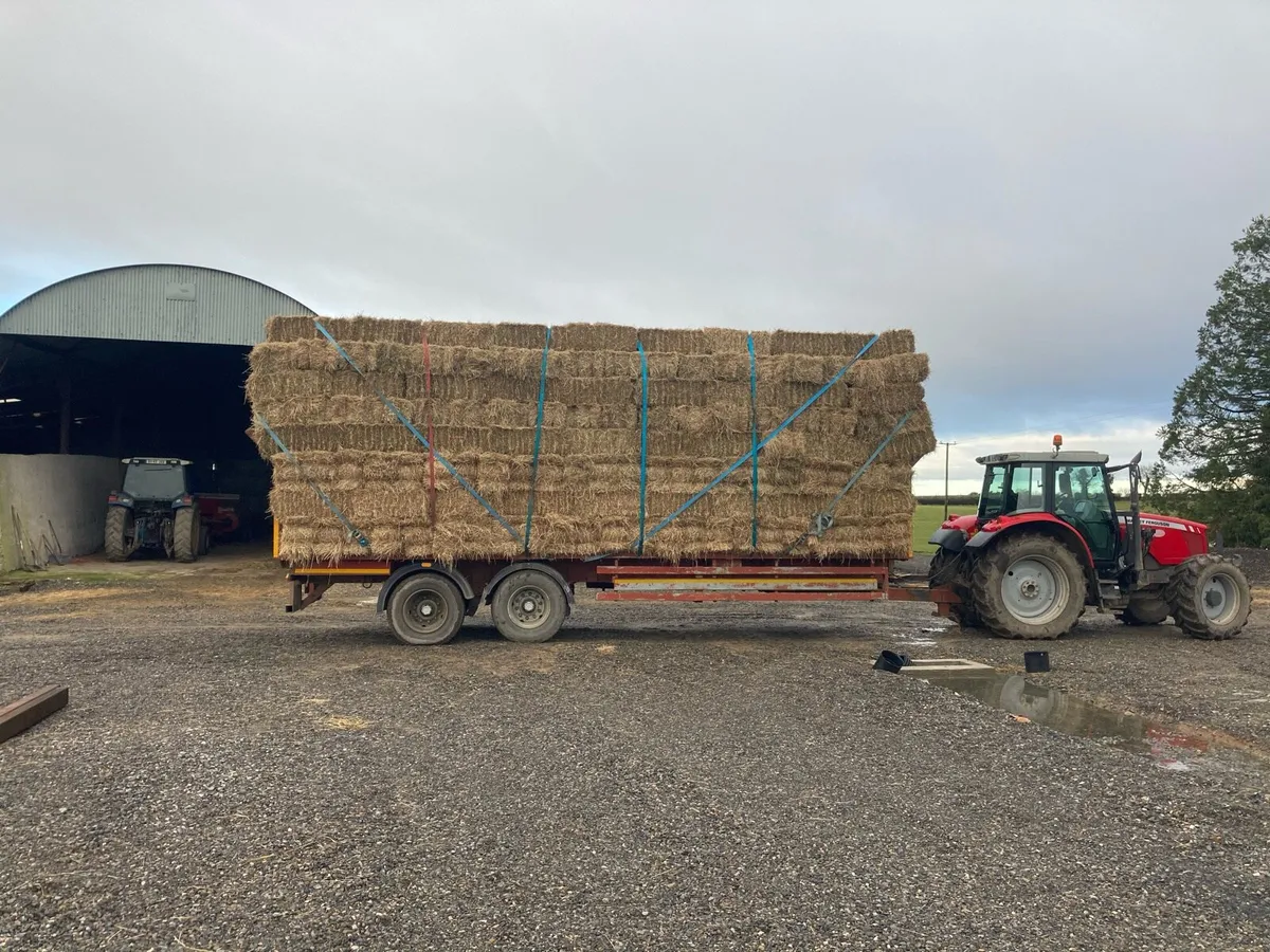 Small square bale horse hay - Image 1