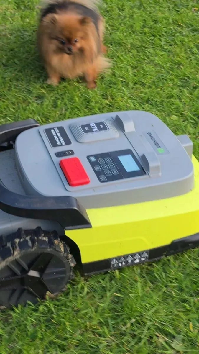 Robotic Lawn Mower GPS AI Navigation phone control - Image 3