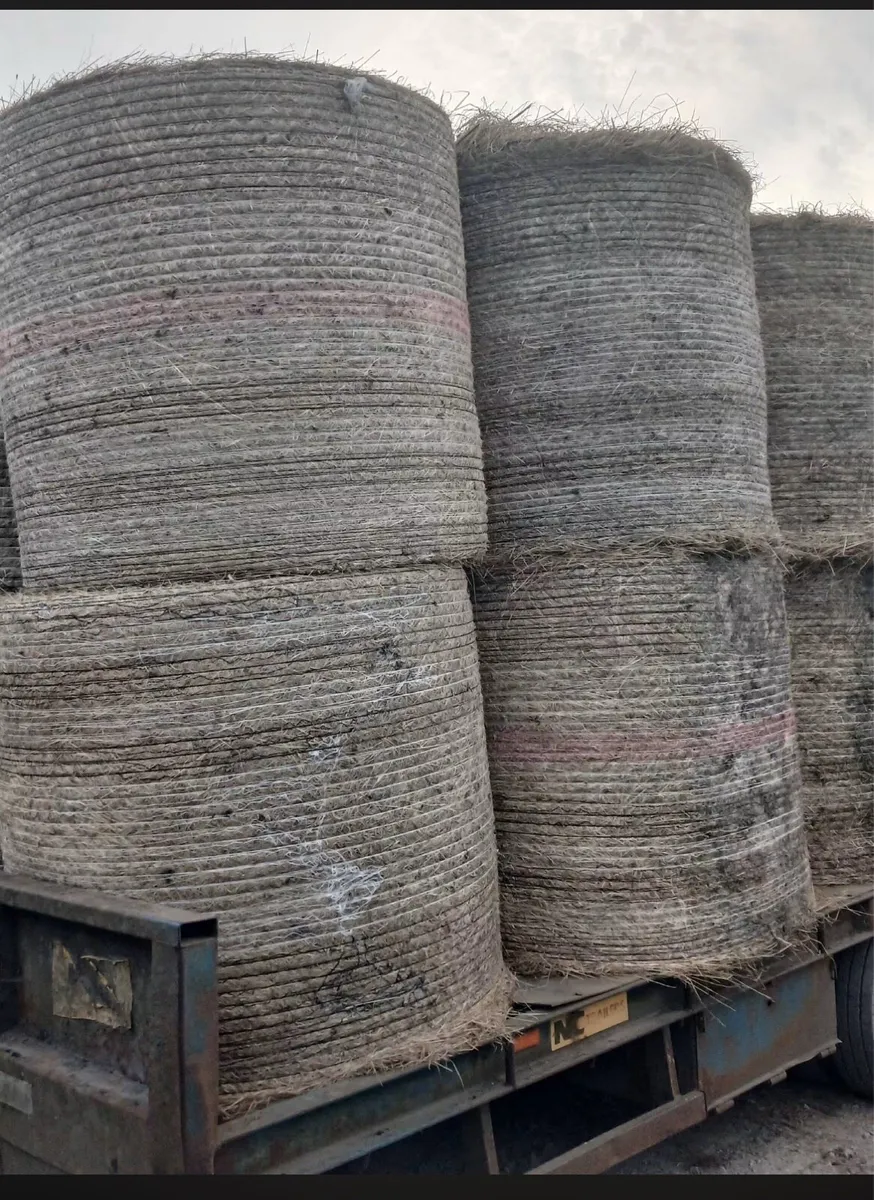 Round bales of hay - Image 3