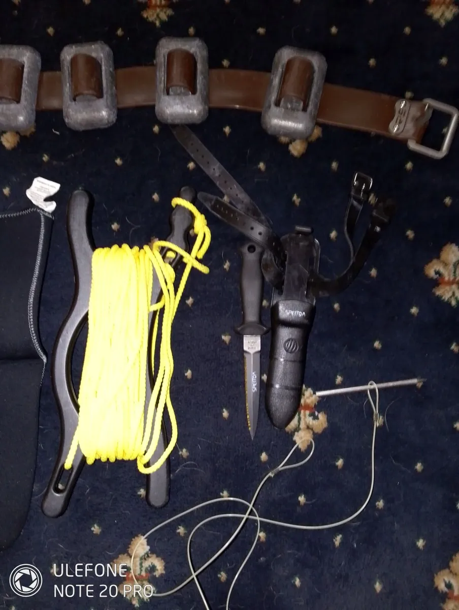 Spearfishing - Image 2
