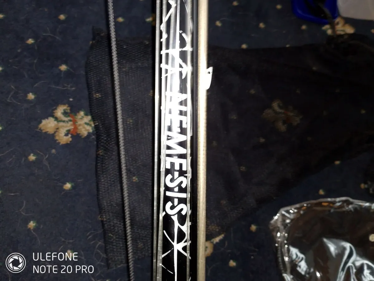 Spearfishing - Image 3