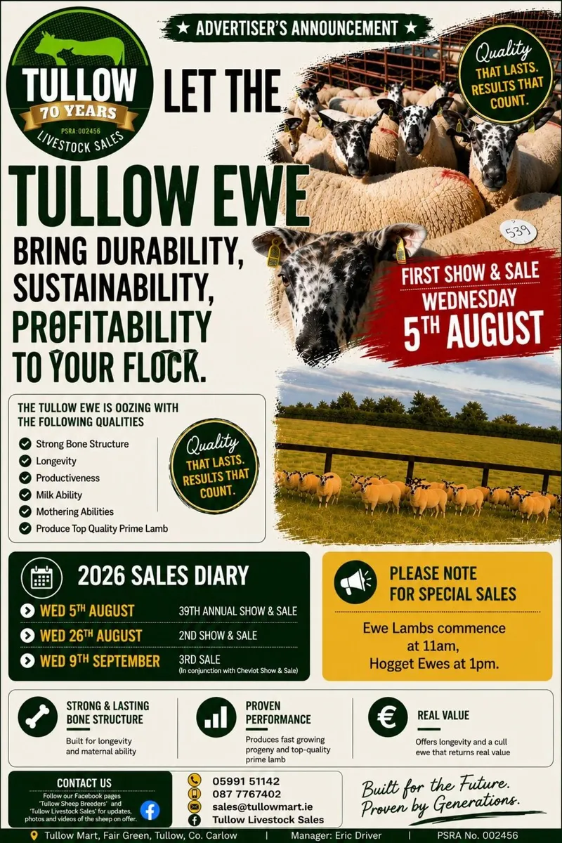TSB Show & Sale - Tullow Mart