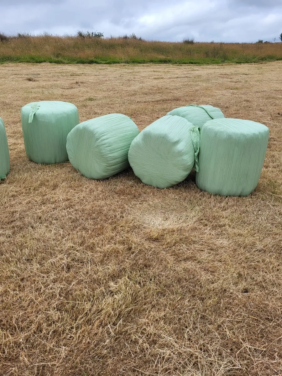 Small round bales of hayledge