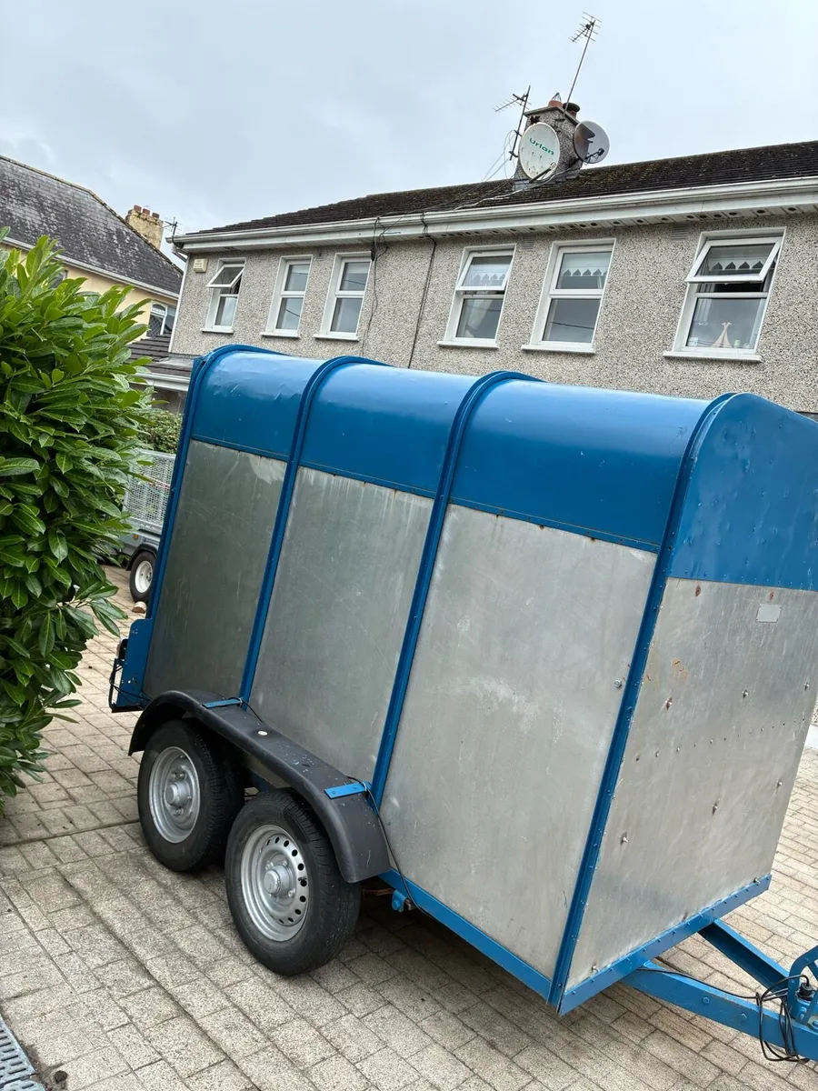 8x4 cow box - Image 3