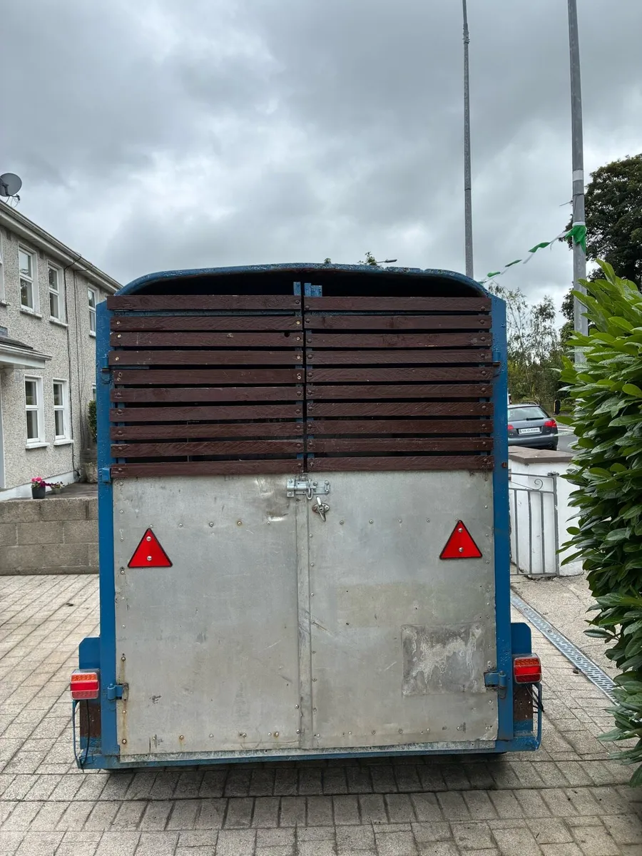 8x4 cow box - Image 4