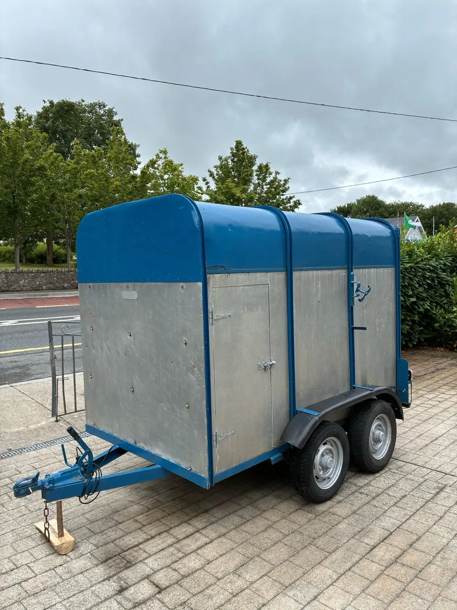 8x4 cow box - Image 1