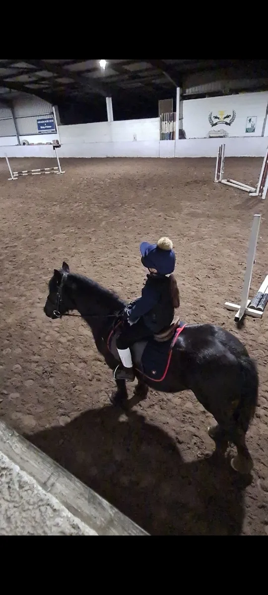 Beautiful Show Pony –Ideal Lead Rein / Novice Ride - Image 2