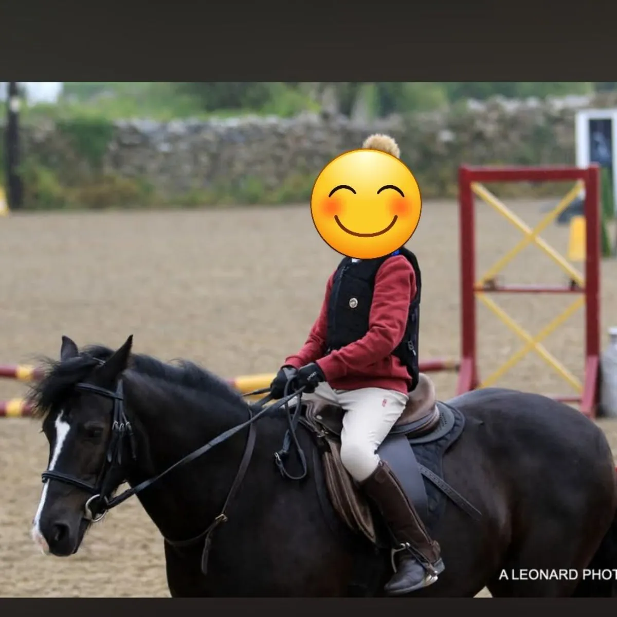 Beautiful Show Pony –Ideal Lead Rein / Novice Ride - Image 3