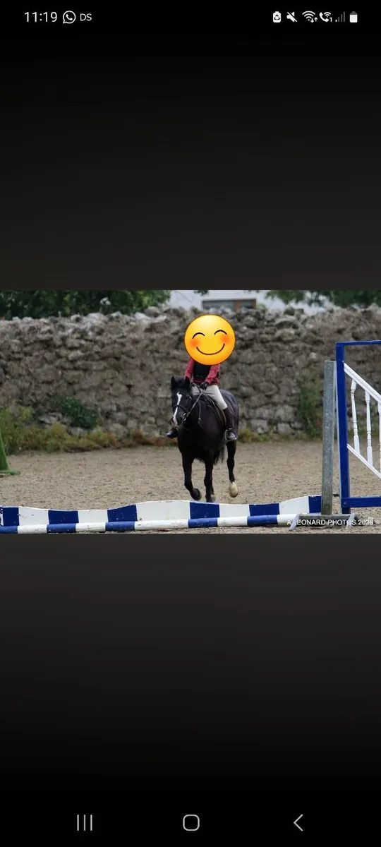 Beautiful Show Pony –Ideal Lead Rein / Novice Ride - Image 4
