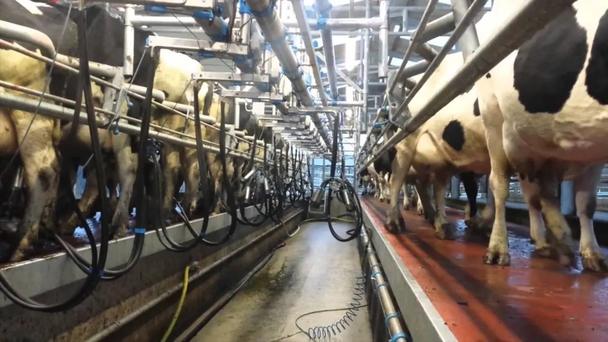 Relief milking